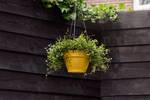 vibia campana hanging basket 26cm honey yellow